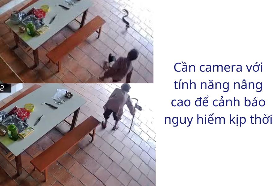 Hình ảnh bà cụ bị rắn tấn công được camera gia đình ghi lại